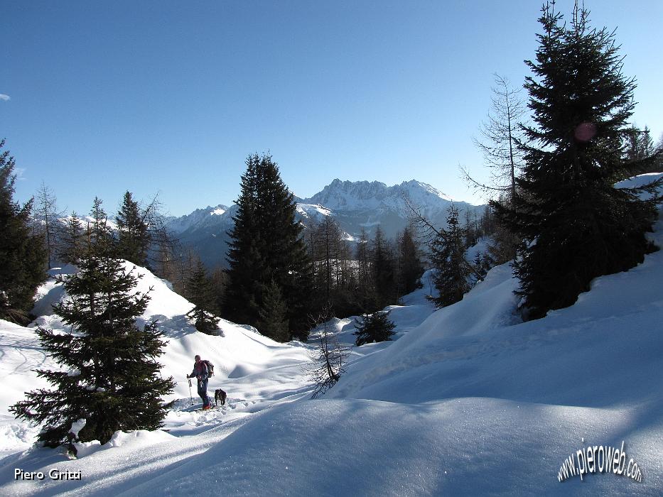 12 Ci segue uno scialpinista col cane.jpg